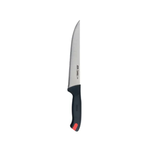 Gastro coltello francese 21