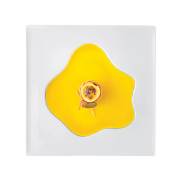 Va chefs coll.lake p.presentazione 26x26