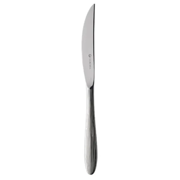 Ch.agano coltello bistecca
