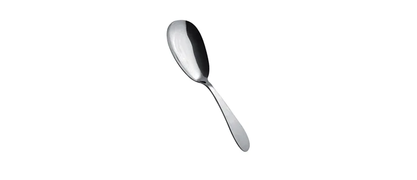 Salvinelli buffet cucchiaione riso pack