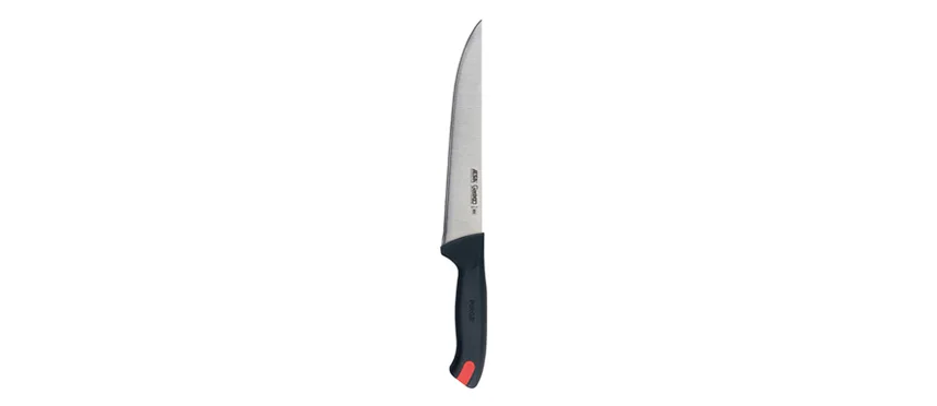 Gastro coltello francese 30
