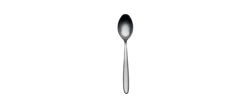 Salvinelli fast ice cucchiaio tavola