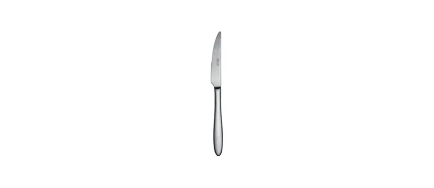 Salvinelli fast ice coltello frutta for.