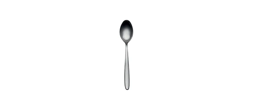 Salvinelli fast ice cucchiaio frutta