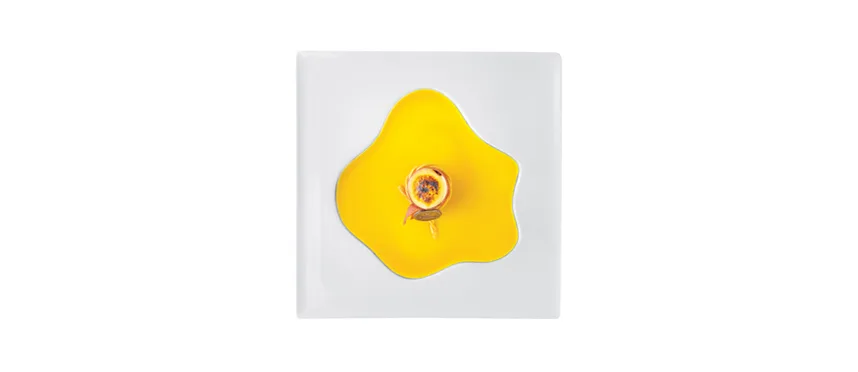 Va chefs coll.lake p.presentazione 26x26