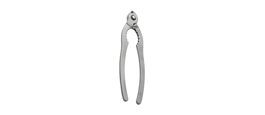 Apribottiglia champagne INOX 77