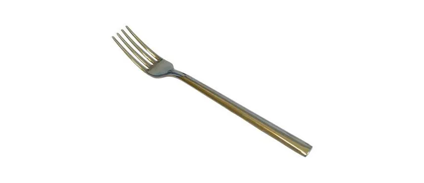 Salvinelli 250 forchettone 18/10